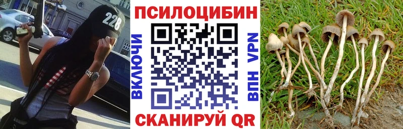 Псилоцибиновые грибы мухоморы  ссылка на мегу ссылки  Нижневартовск 