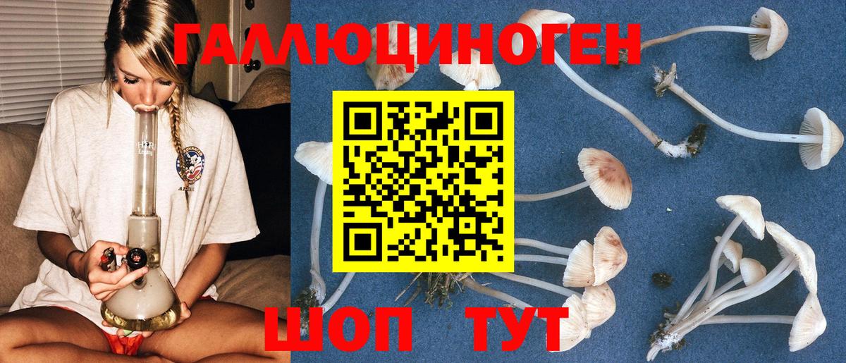 магазин продажи наркотиков  Псилоцибиновые грибы мухоморы  Вход с VPN  Нижневартовск 