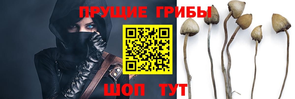 Меф   Нижневартовск  Бошки Шишки  Кетамин  Вход с VPN  НБОМе  Cocaine  Гашиш 